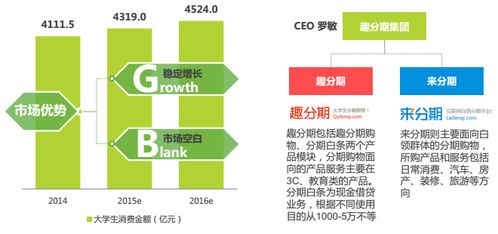分期電商市場深度調(diào)研 現(xiàn)狀、機(jī)遇與挑戰(zhàn)